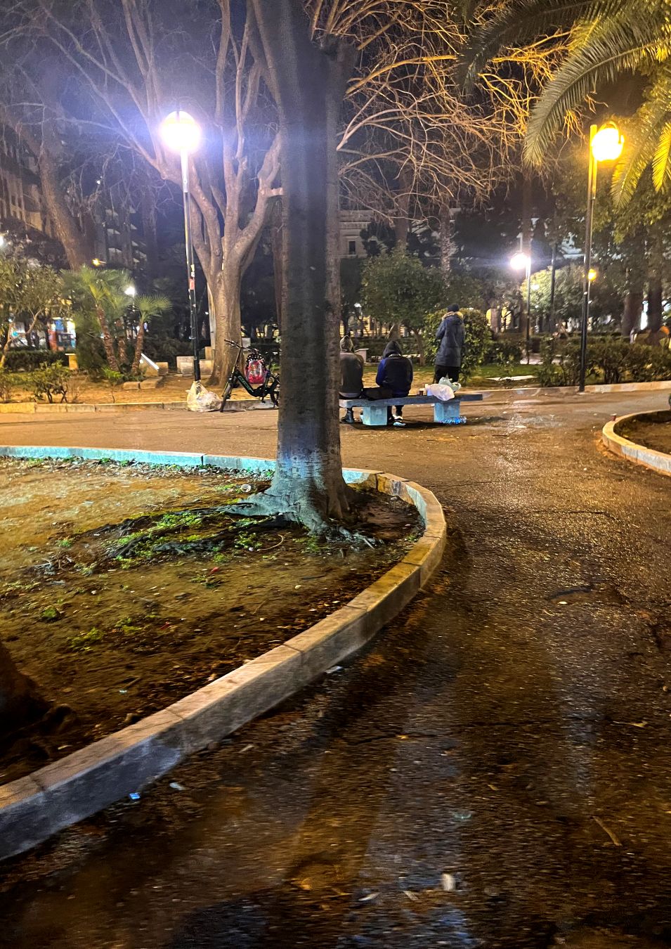 IL PARCO NON CUSTODITO - CACUCCIOLO VALENTINA