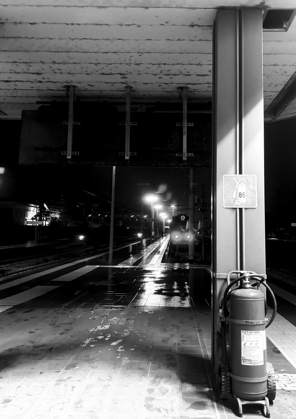 STAZIONE - EDITH ALIMONTI 