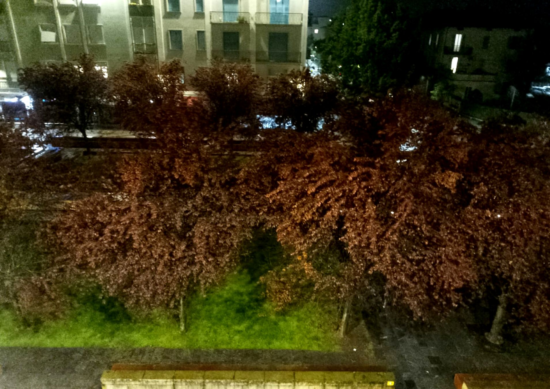 PIAZZA GRANDI DI NOTTE - MARTIN ADORNI