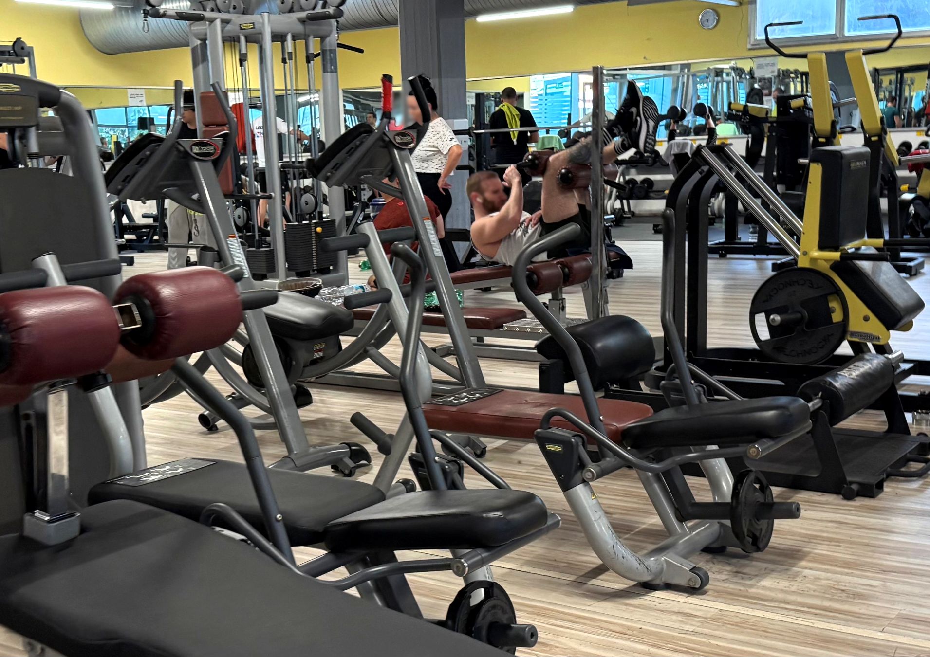 PALESTRA - SILVIA RIGLIETTI