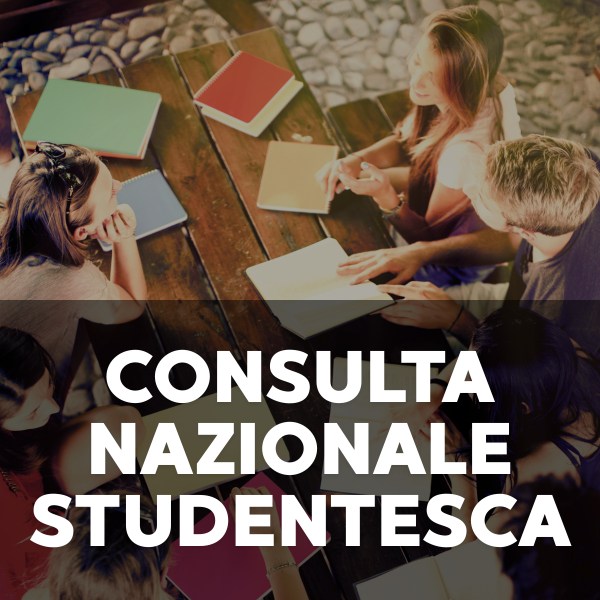 Consulta Nazionale Peer
